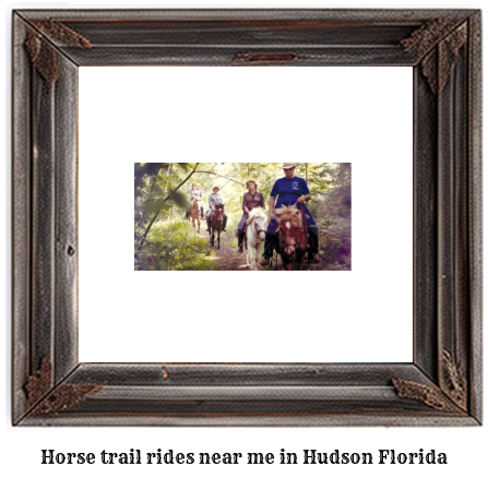 horse trail rides near me in Hudson, Florida